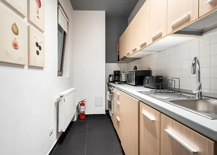 Sunny 2br Roof Flat - Amazing Terrace Bukarest