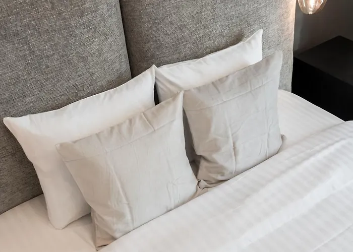 Sunny 2br Roof Flat - Amazing Terrace Bucareste